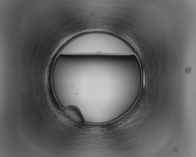 X0000101400483200807071033