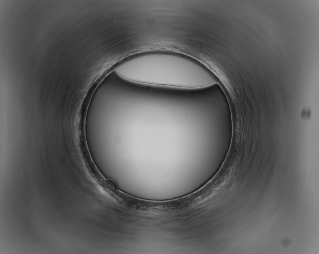 X0000101400485200807071033
