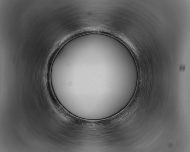X0000101400486200807071033