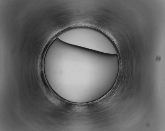 X0000101400487200807071033