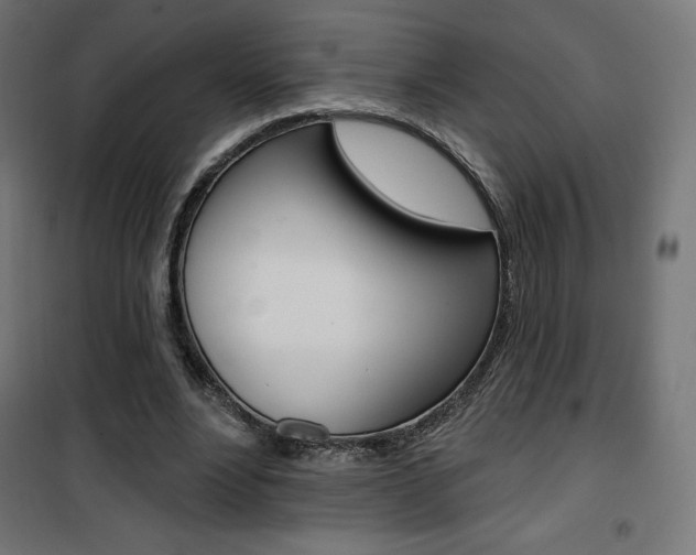 X0000101400488200807071033