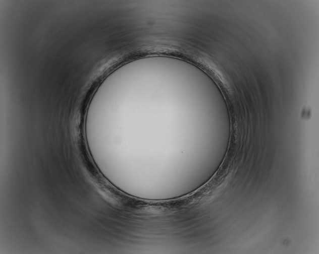 X0000101400490200807071033