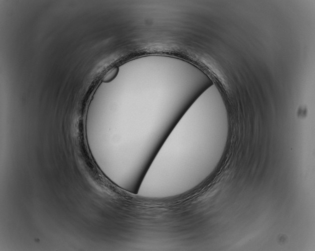 X0000101400491200807071033