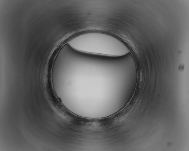 X0000101400492200807071033