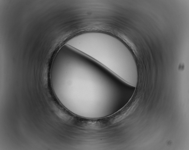 X0000101400493200807071033