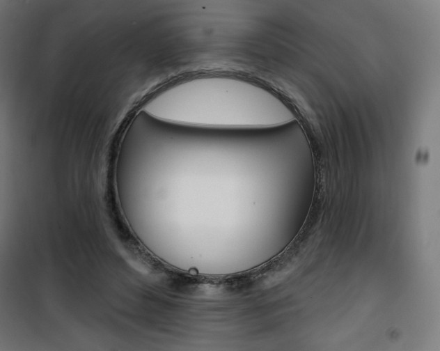 X0000101400496200807071033