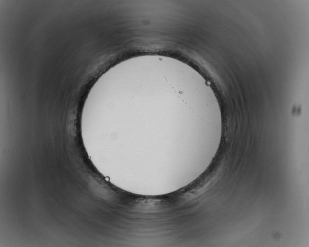 X0000101400497200807071033