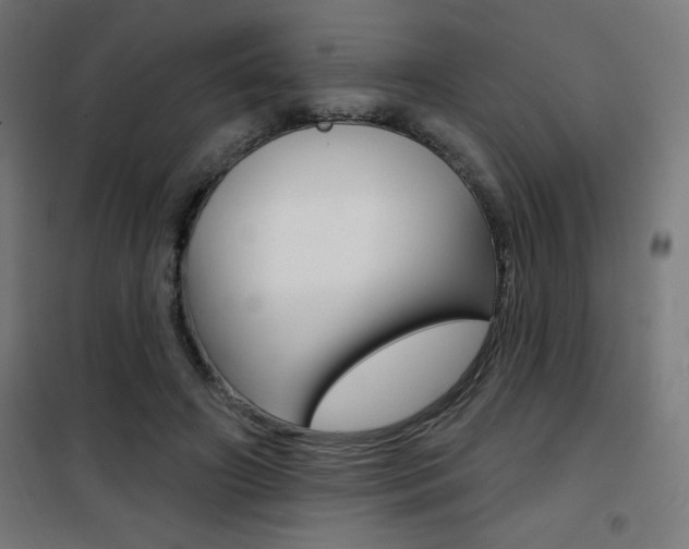 X0000101400498200807071033