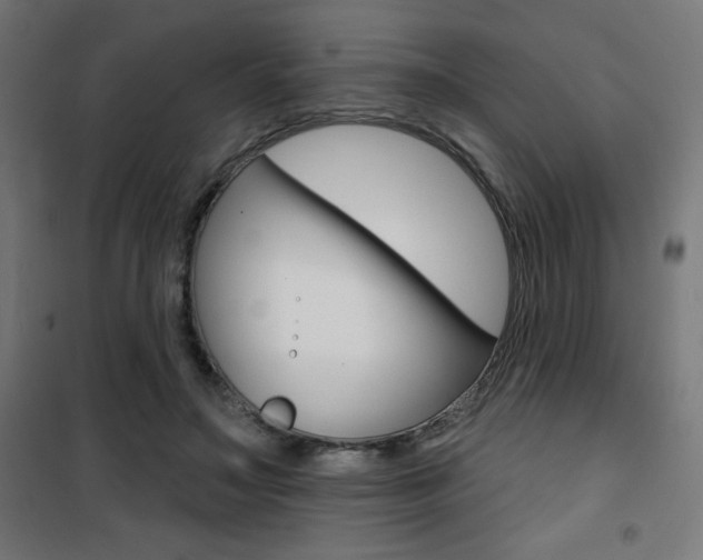 X0000101400499200807071033