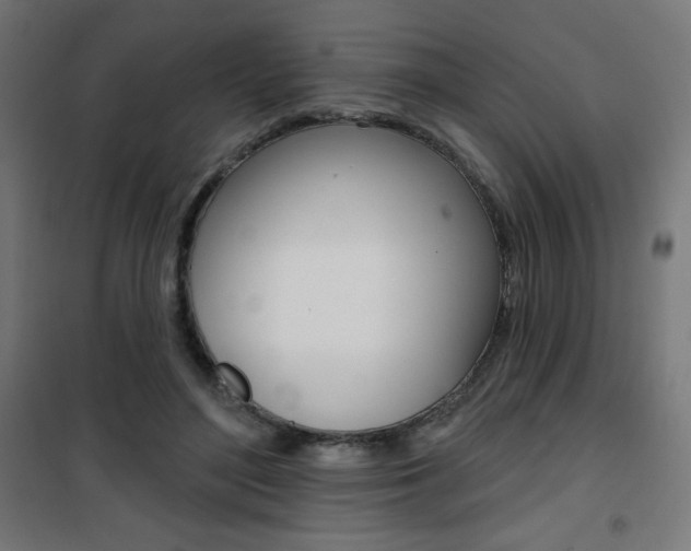 X0000101400500200807071033
