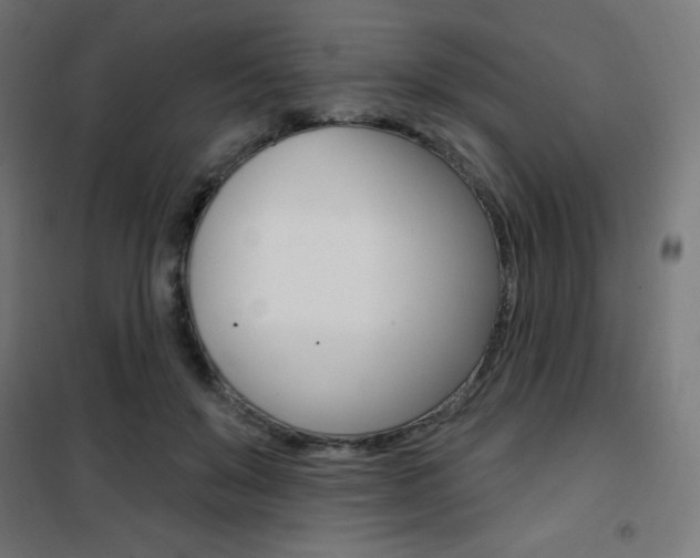 X0000101400503200807071033