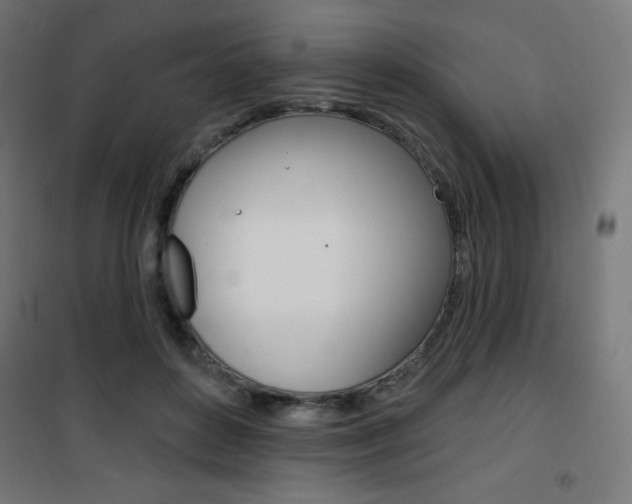 X0000101400504200807071033