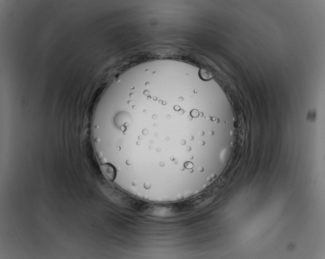 X0000101400507200807071033