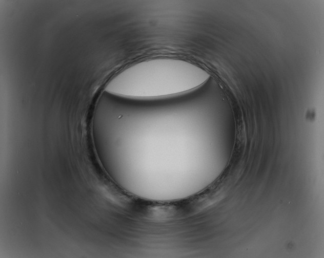 X0000101400508200807071033