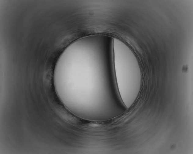 X0000101400509200807071033