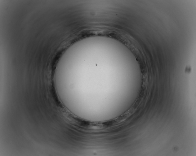 X0000101400510200807071033