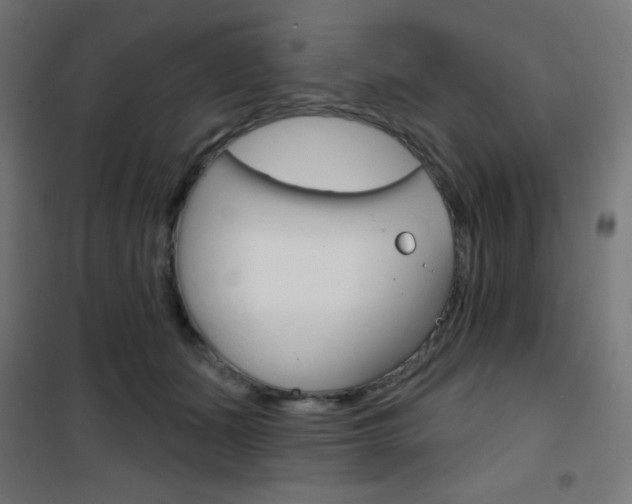 X0000101400511200807071033