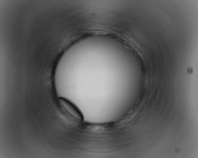 X0000101400512200807071033