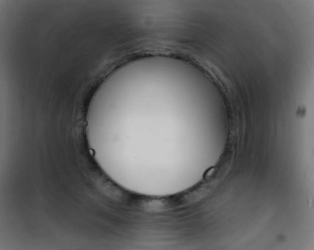 X0000101400513200807071033