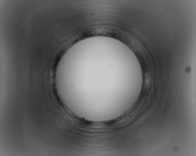 X0000101400514200807071033