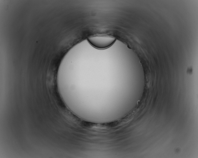 X0000101400515200807071033
