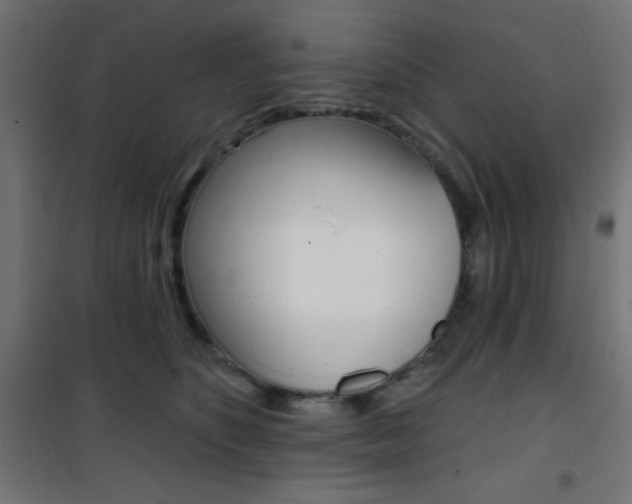 X0000101400516200807071033