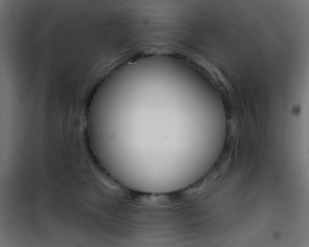 X0000101400517200807071033
