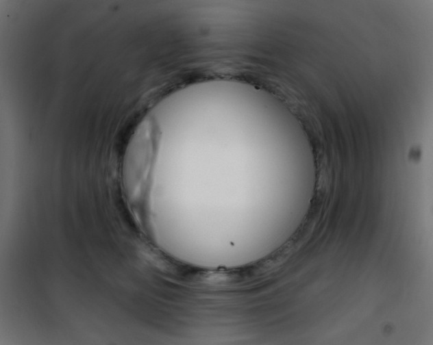 X0000101400518200807071033