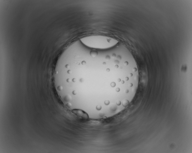 X0000101400519200807071033
