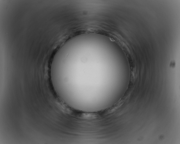 X0000101400520200807071033