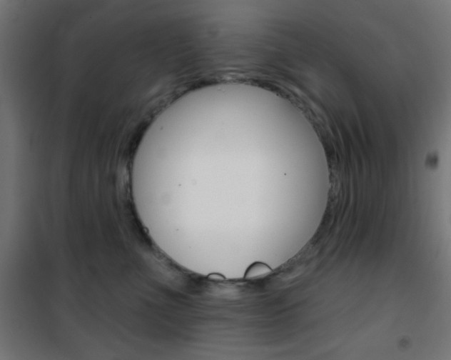 X0000101400523200807071032