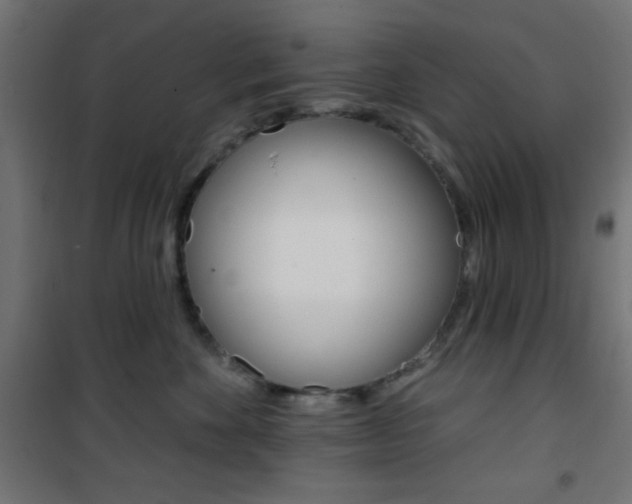 X0000101400524200807071032