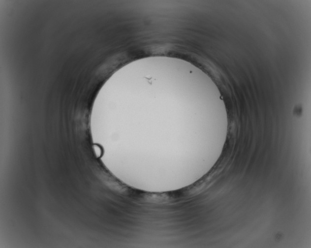 X0000101400525200807071032
