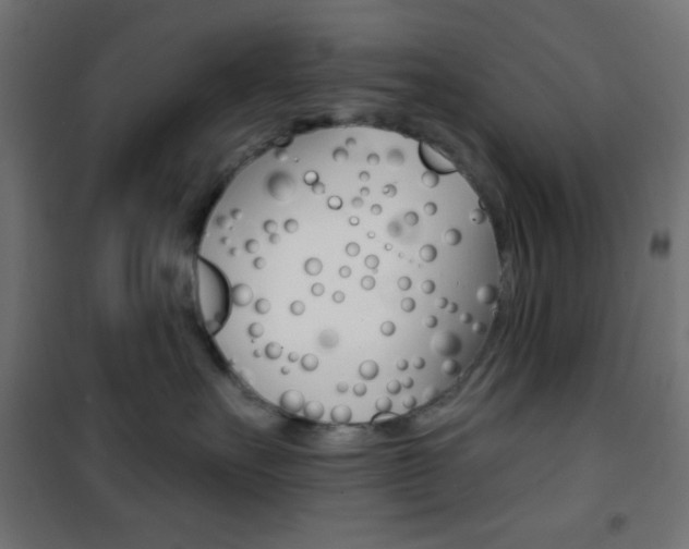 X0000101400527200807071032