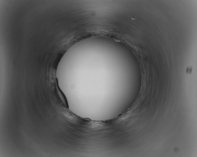 X0000101400528200807071032