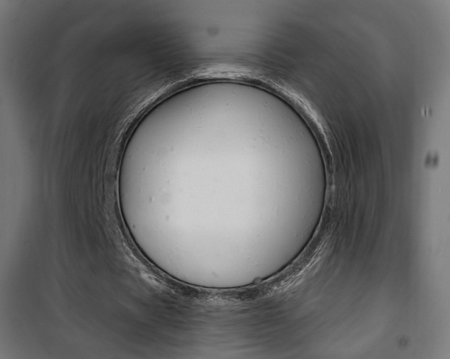 X0000101400529200807071032