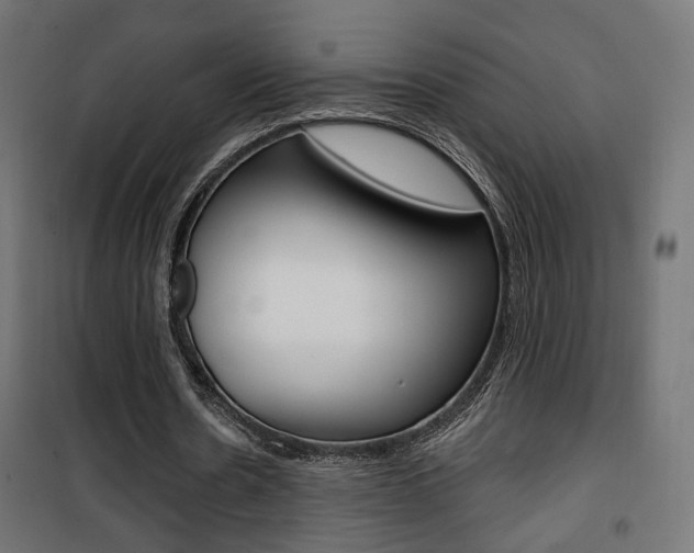 X0000101400530200807071032