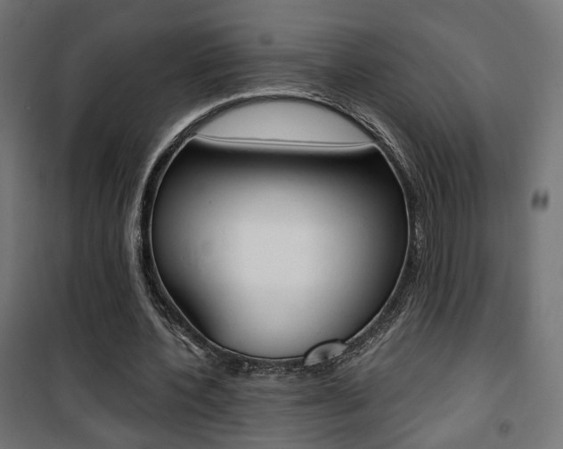 X0000101400532200807071032