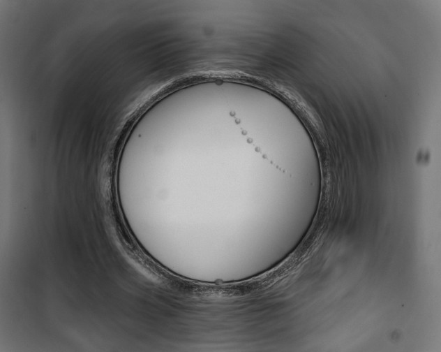 X0000101400533200807071032