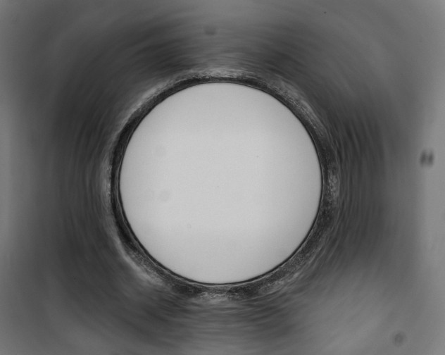 X0000101400534200807071032
