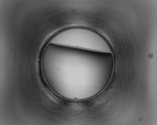 X0000101400535200807071032