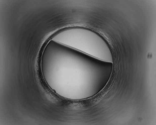 X0000101400536200807071032