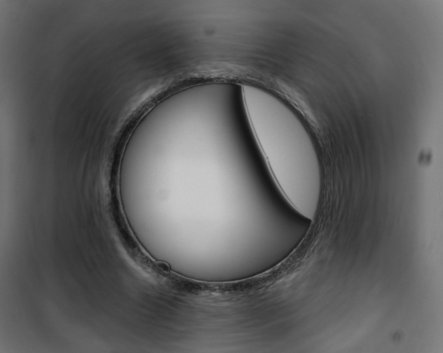 X0000101400538200807071032