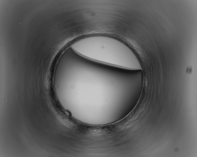 X0000101400540200807071032