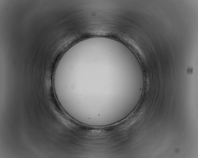 X0000101400541200807071032