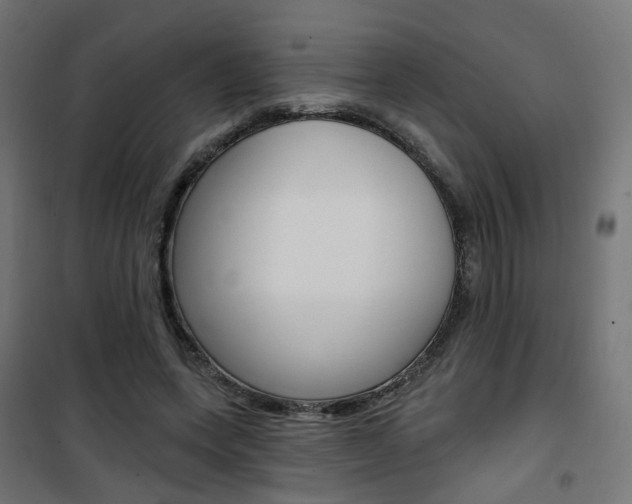X0000101400543200807071032
