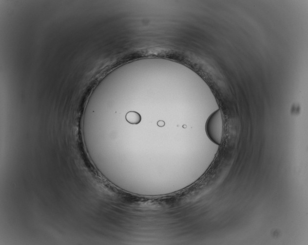 X0000101400545200807071032