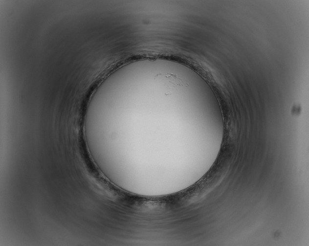X0000101400546200807071032