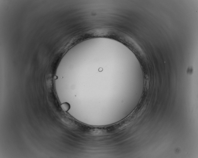 X0000101400549200807071032