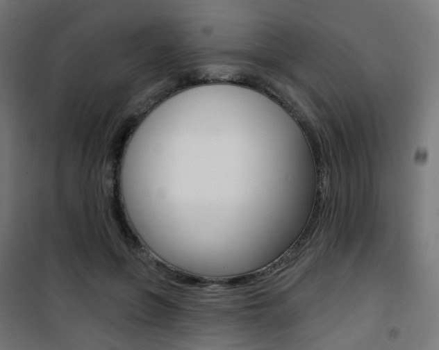 X0000101400551200807071032